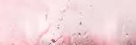 RANIA banner