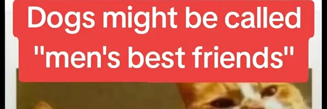 Wastingtime banner