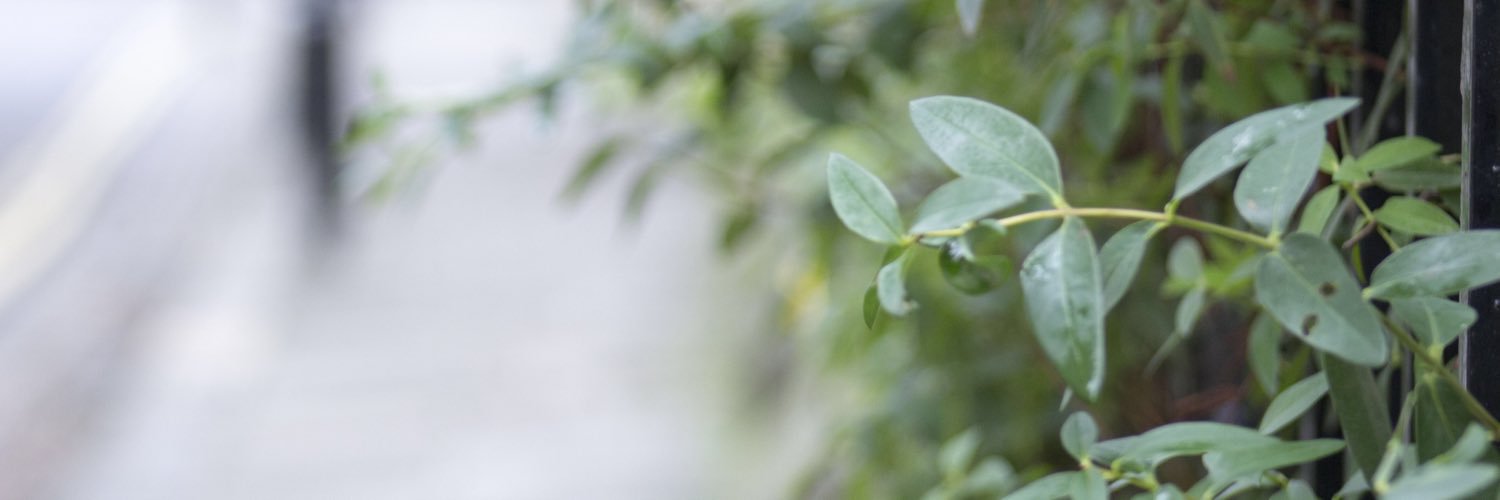 hdanielle92's profile banner image