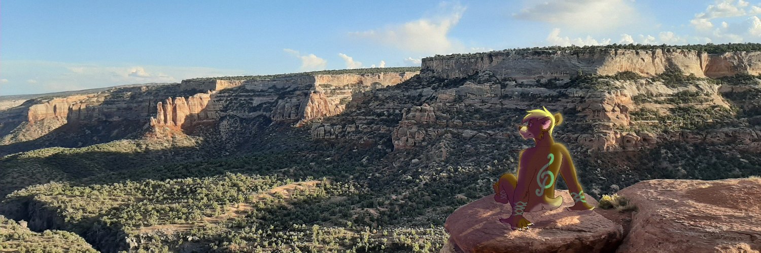 Chaco banner
