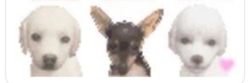 ⍣ * U^ェ^U ☆ *: .｡.'s banner