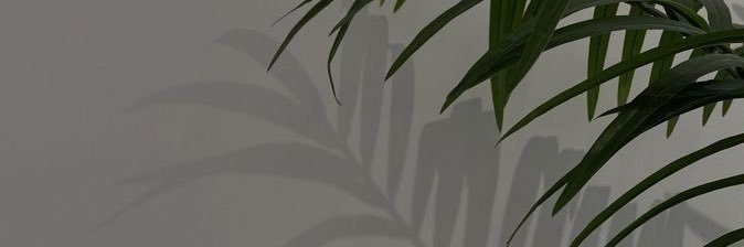 cattelan03's profile banner image