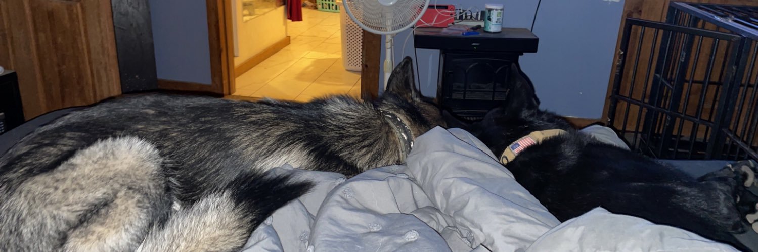 LisaBear_'s profile banner image