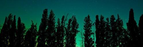 NothingInMy_Way's profile banner image