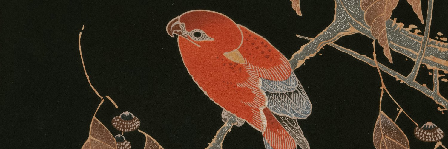 wheresjonas's profile banner image