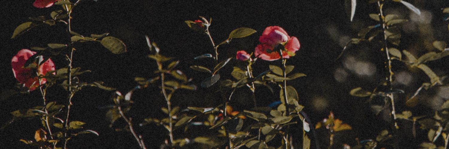 jkcomfort's profile banner image