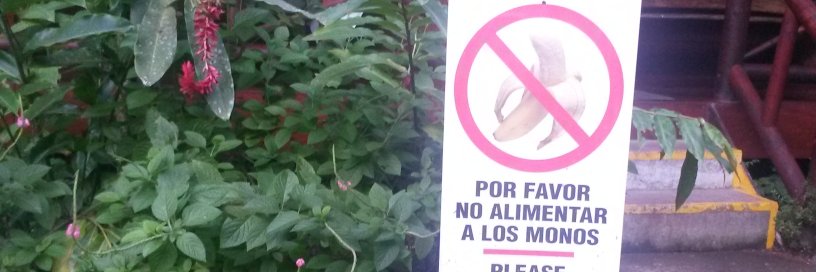 Juan Gutiérrez 🐦's banner