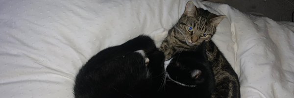 CarlBailey91 Profile Banner