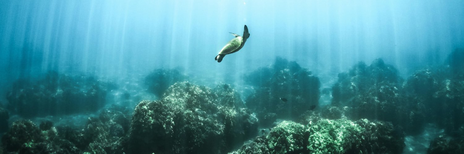 Chris Fischer banner