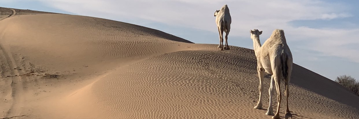 سعود العجلان banner