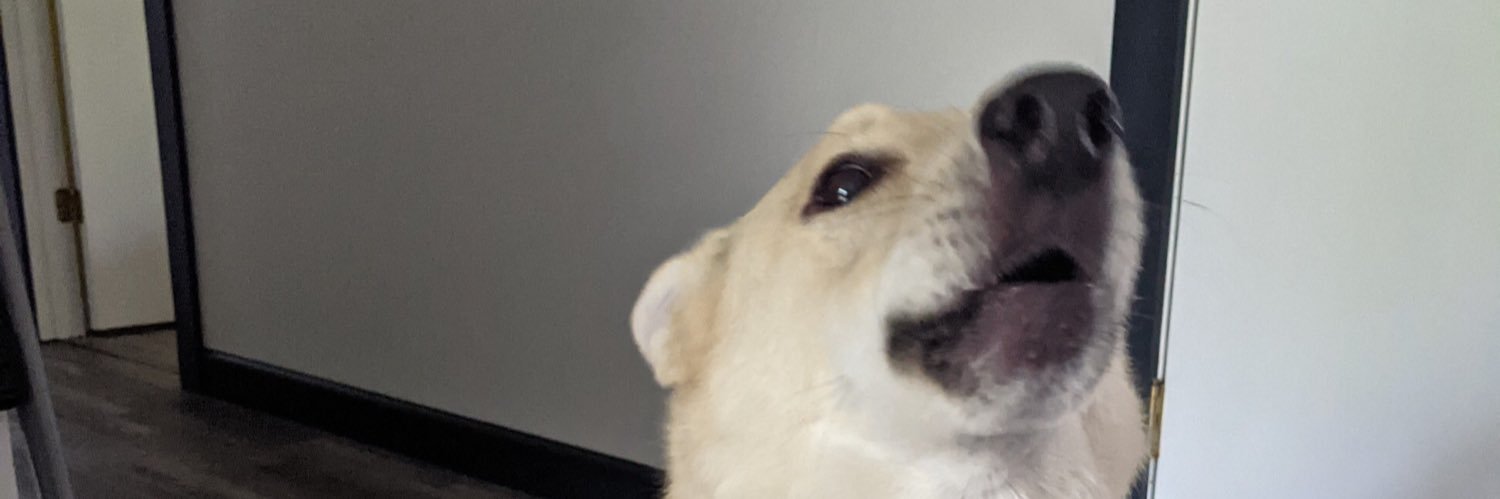 TheRealKeeel's profile banner image