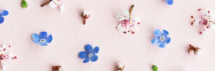 Sheireen98's profile banner image