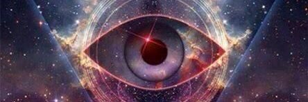 Into The Stray banner