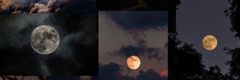 Ari Septiana banner