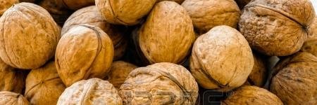 SlowFoodNotts's profile banner image