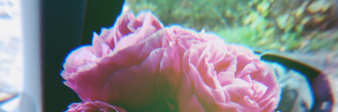 wineandpepper's profile banner image