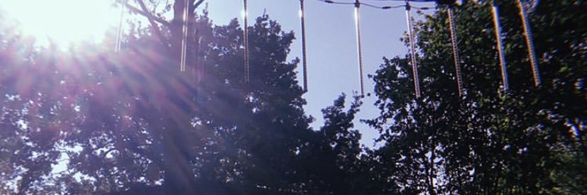 phoeb_web's profile banner image