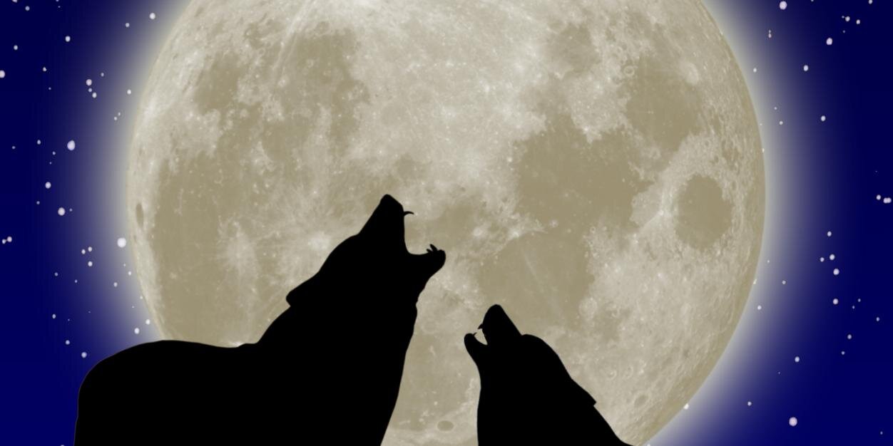 LunarEve3's profile banner image