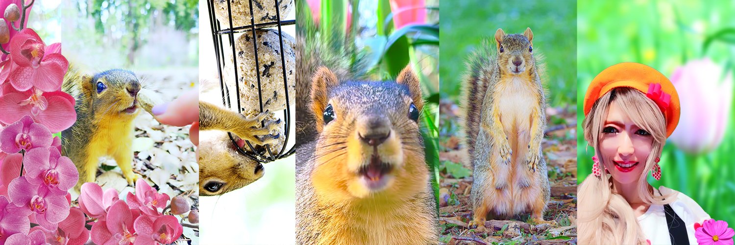 Chelsea Heart Sublime Squirrel ちぇるちゃん🎤🐿️💞 banner