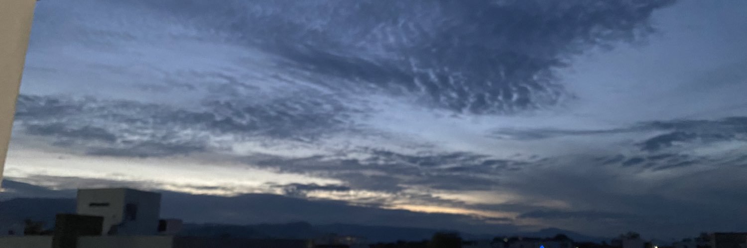 Rocio Castillo banner