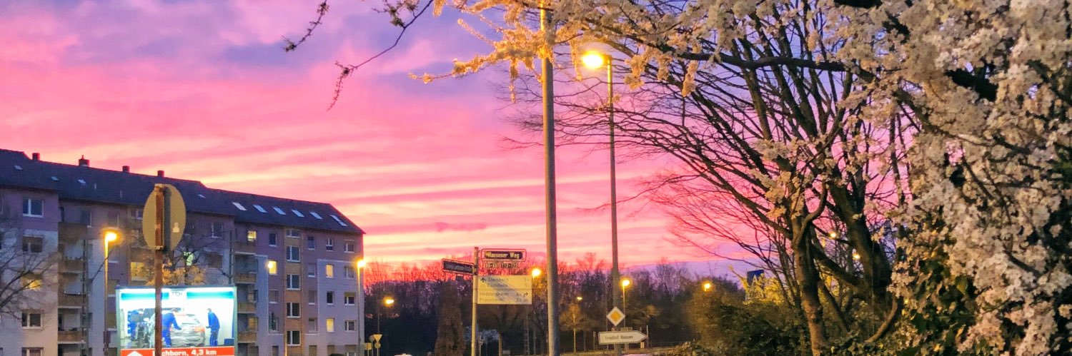 Matheus Faustino banner