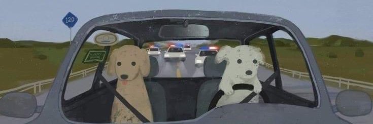 Mariofox94's profile banner image