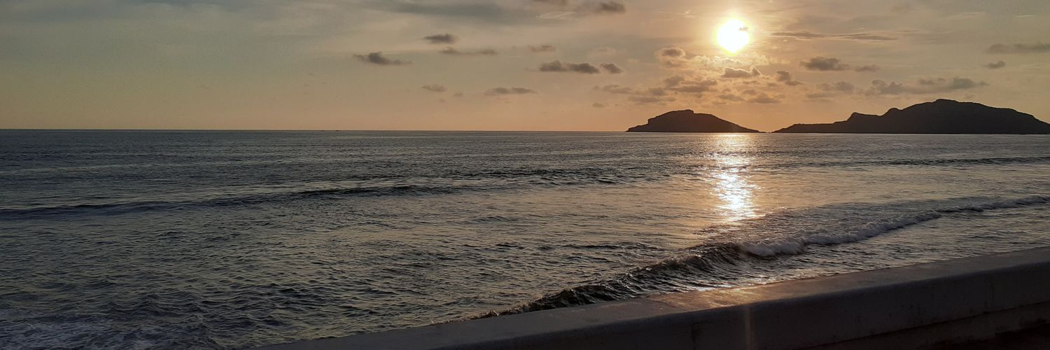 Suseeeey's profile banner image