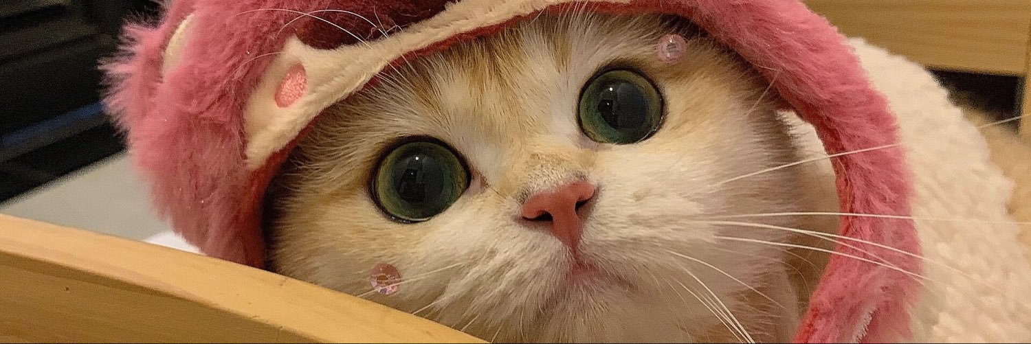 ZRxuan99's profile banner image