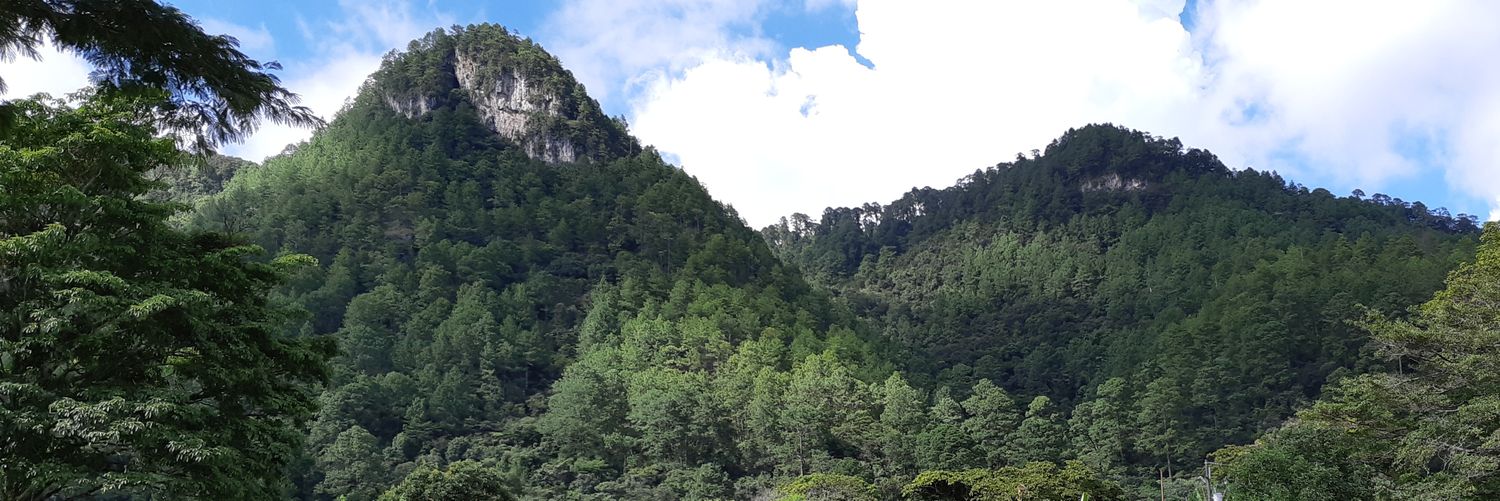 enith_galvez's profile banner image