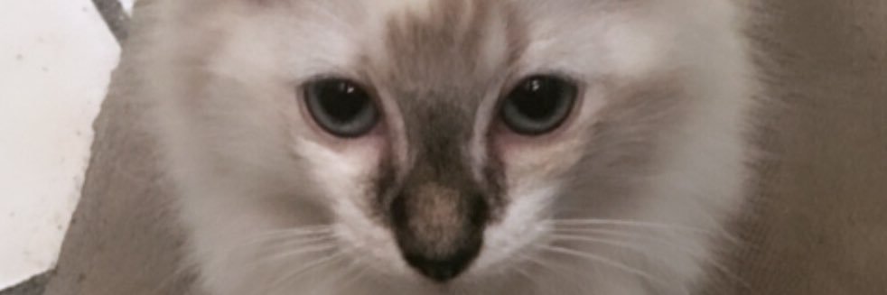 rayssaclaraa's profile banner image