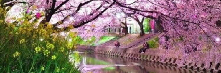 Barbara Guelbert banner