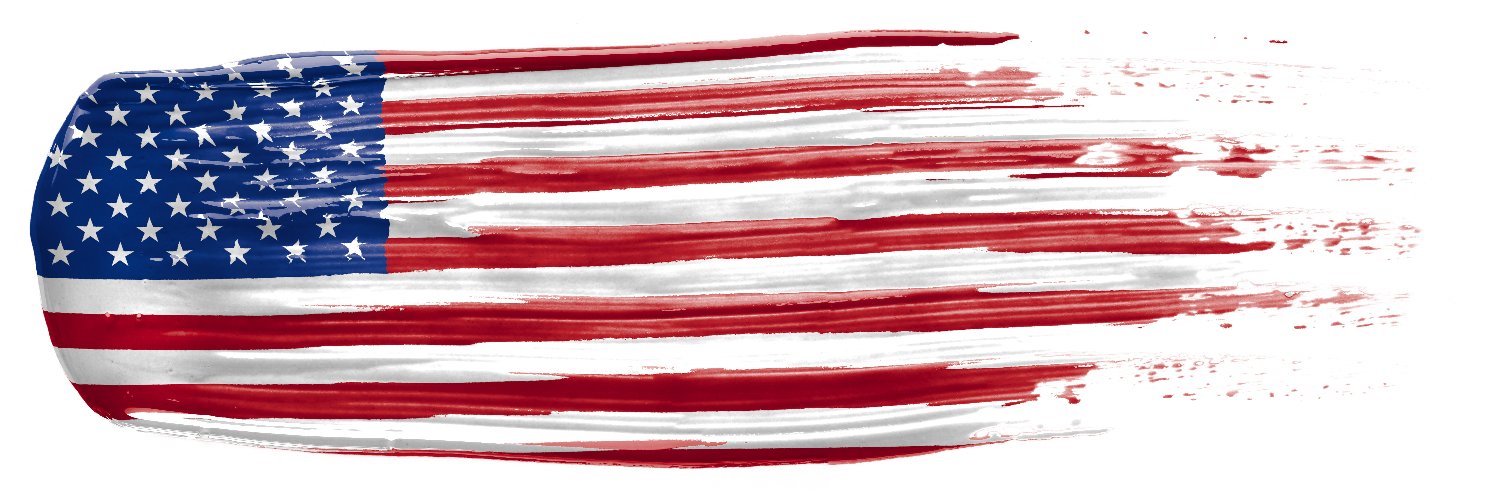 Turmaninc's profile banner image