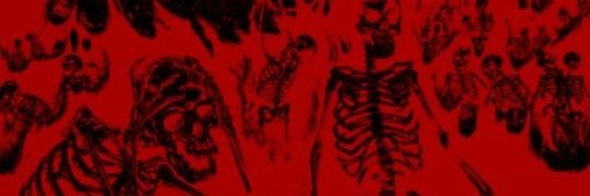 ✘gнι∂οяαн✘ banner
