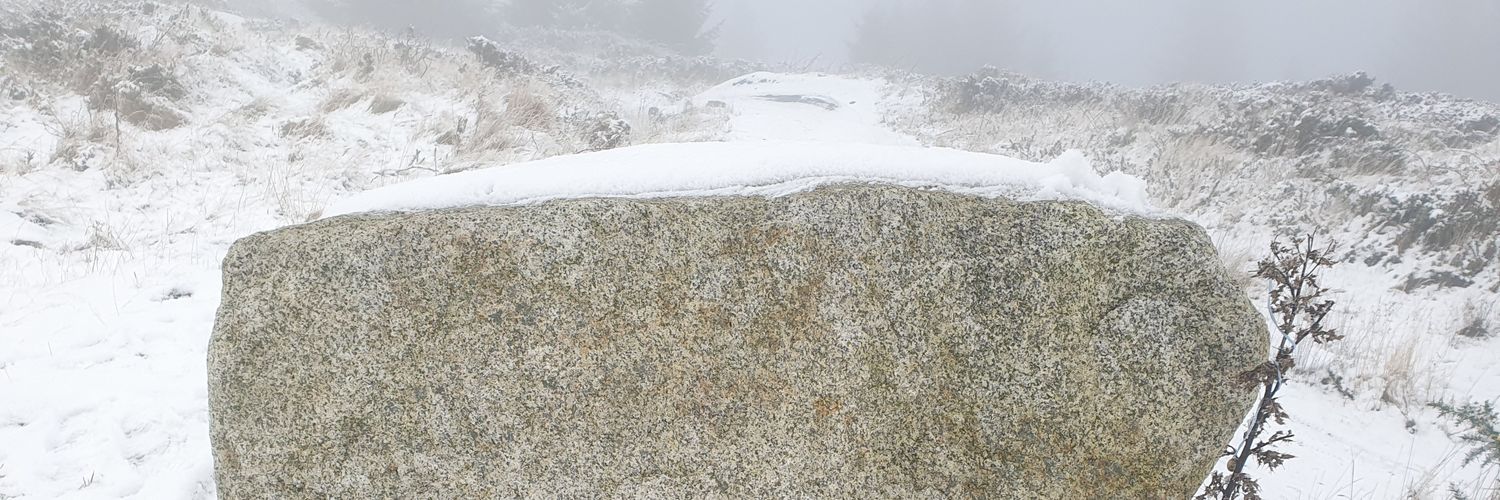 Paul O'Connor banner