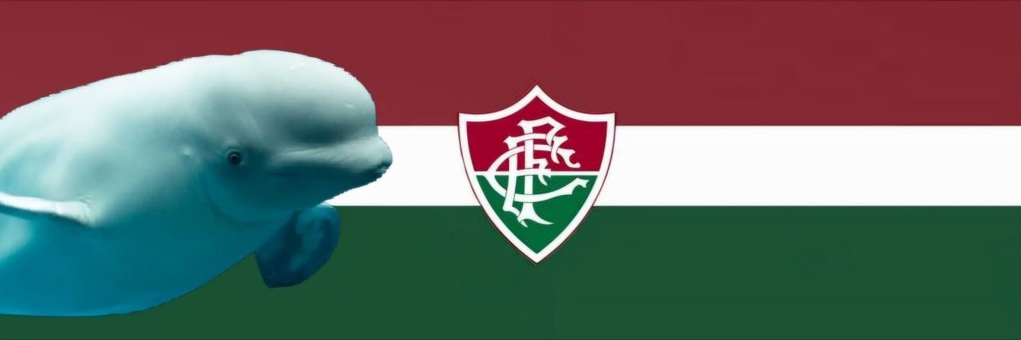 Beluga de Nova Iguaçu✝️🇭🇺 banner