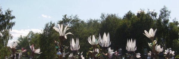 AnneKScharf Profile Banner