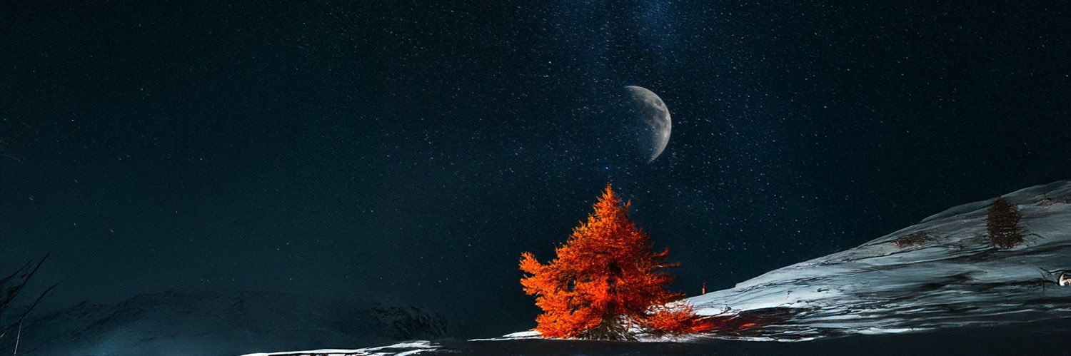 Brian Correll banner