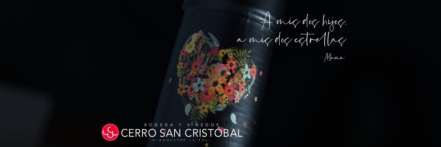 Bodega Cerro San Cristóbal banner
