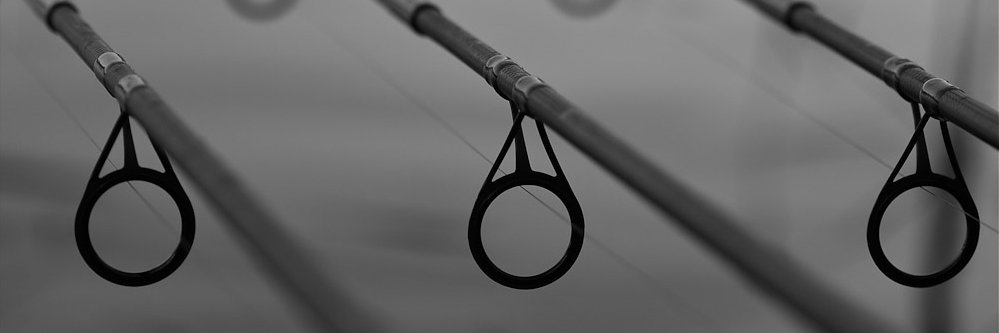 kingofthepond's profile banner image