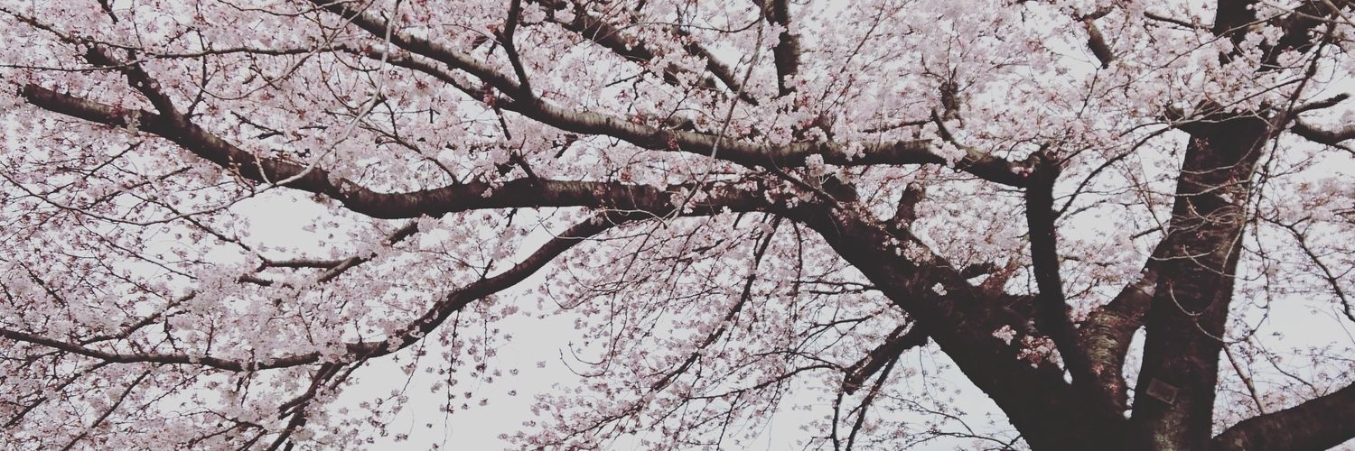 奈緒💚 banner