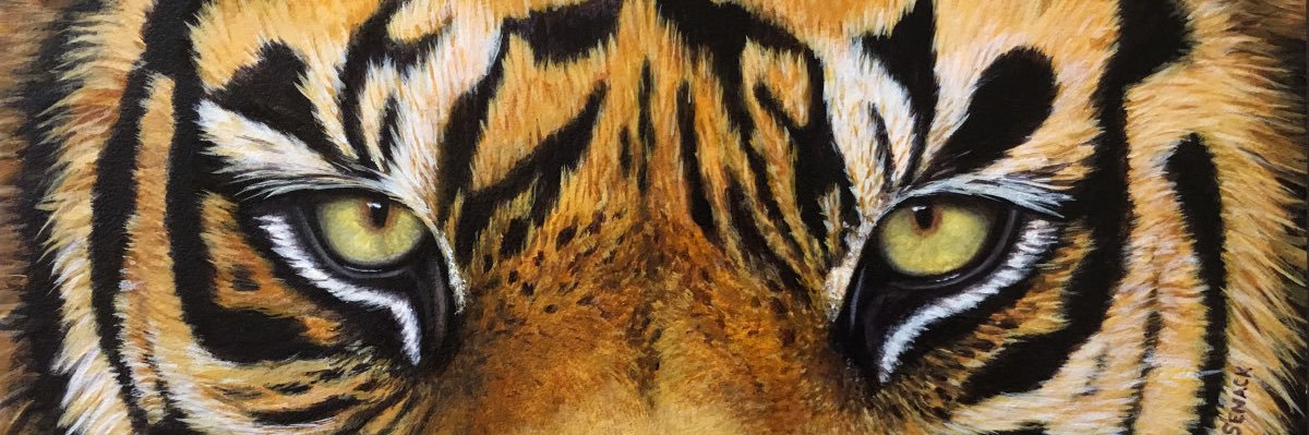 Tramari (Trey) Long banner