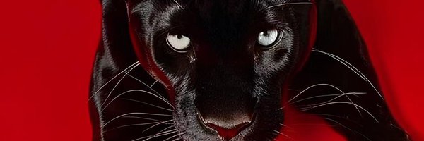 ManunuCherie Profile Banner