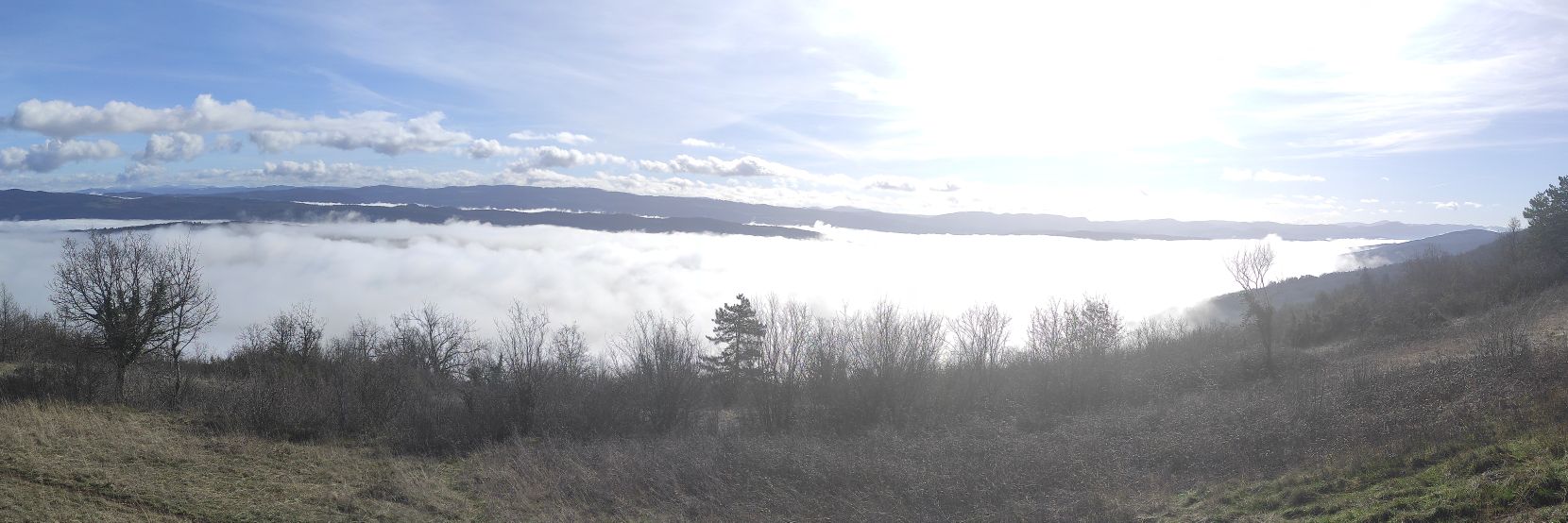 alb_mtl's profile banner image