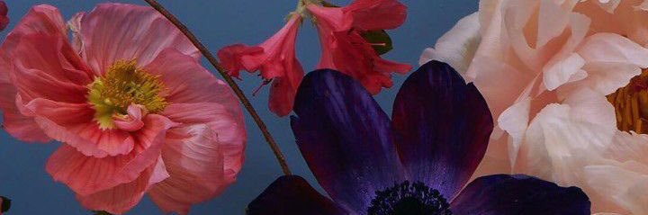 𝙉𝙖𝙙𝙖 banner