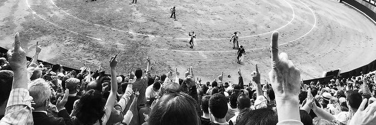 Asoc. El Toro de Madrid banner