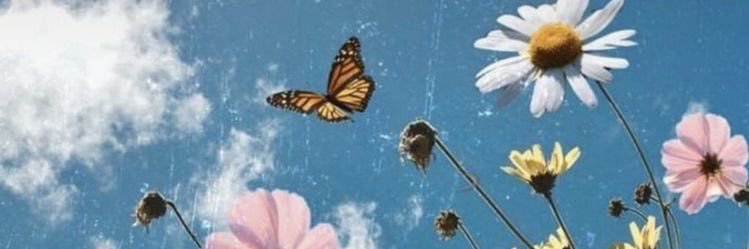 Fferdominguez's profile banner image