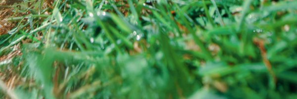 kaibosch Profile Banner