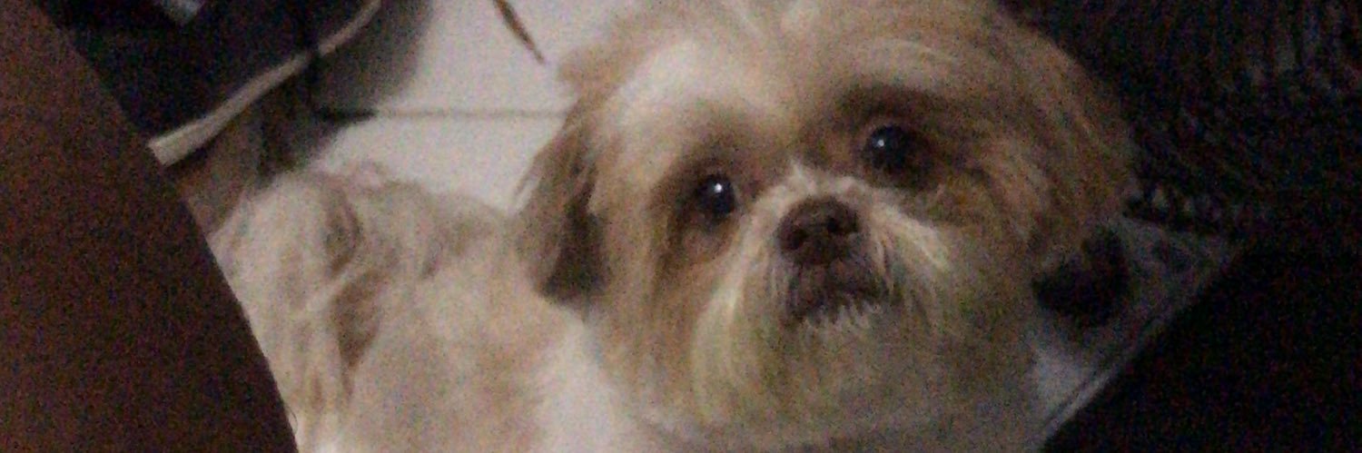 ai amiga tipo assim, sei lá banner