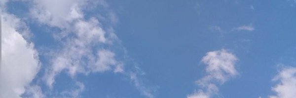 MaggieTabibi Profile Banner