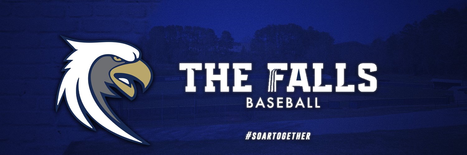 Toccoa Falls Baseball banner